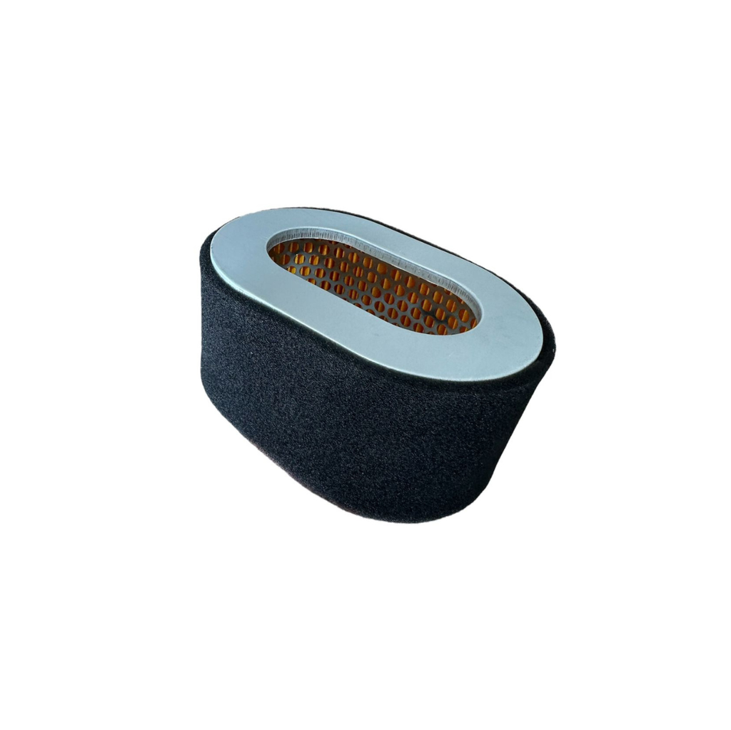 Filtro de Aire LP0116020001